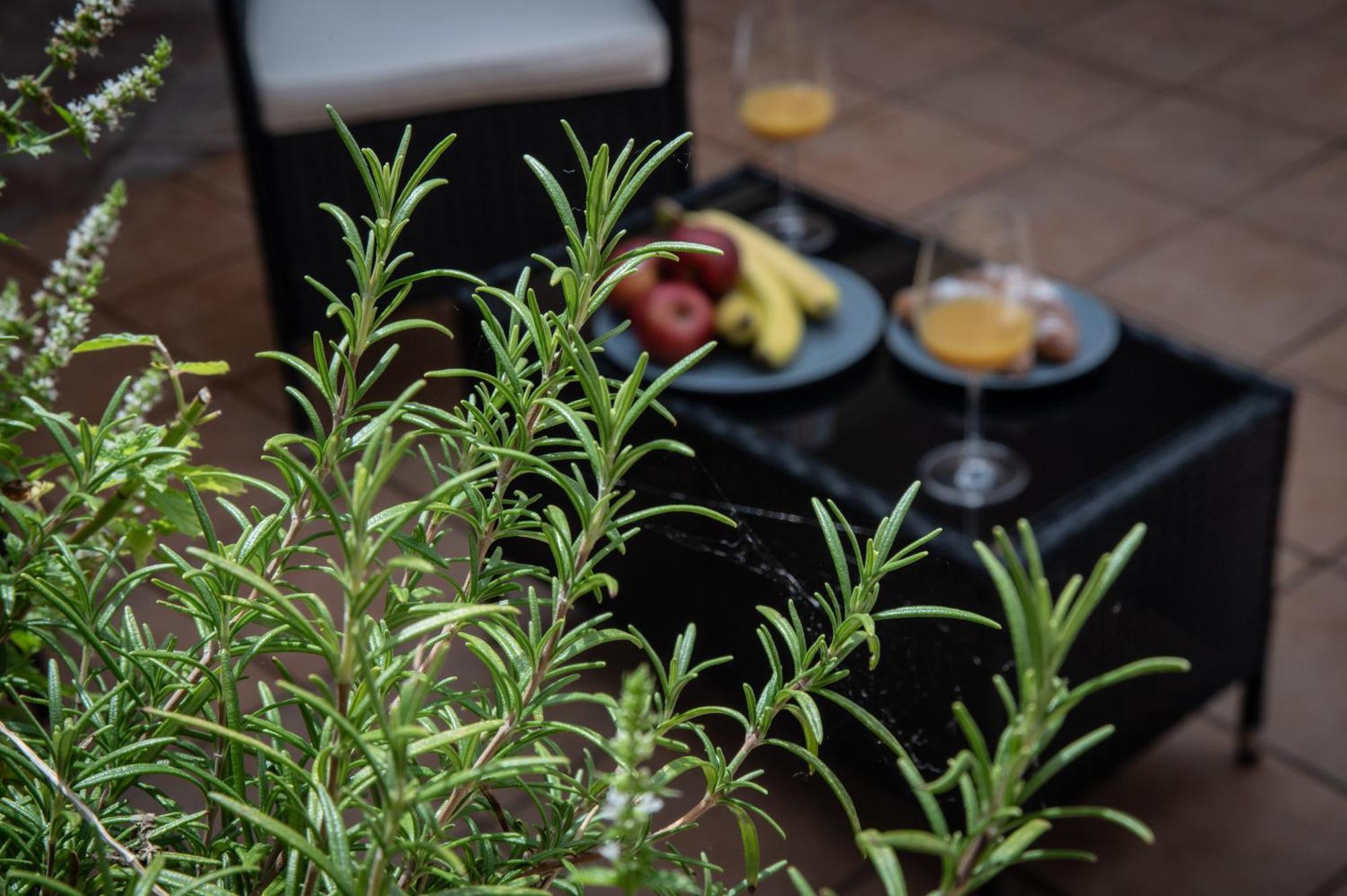 White Swan Boutique Apartments Prag Exterior foto